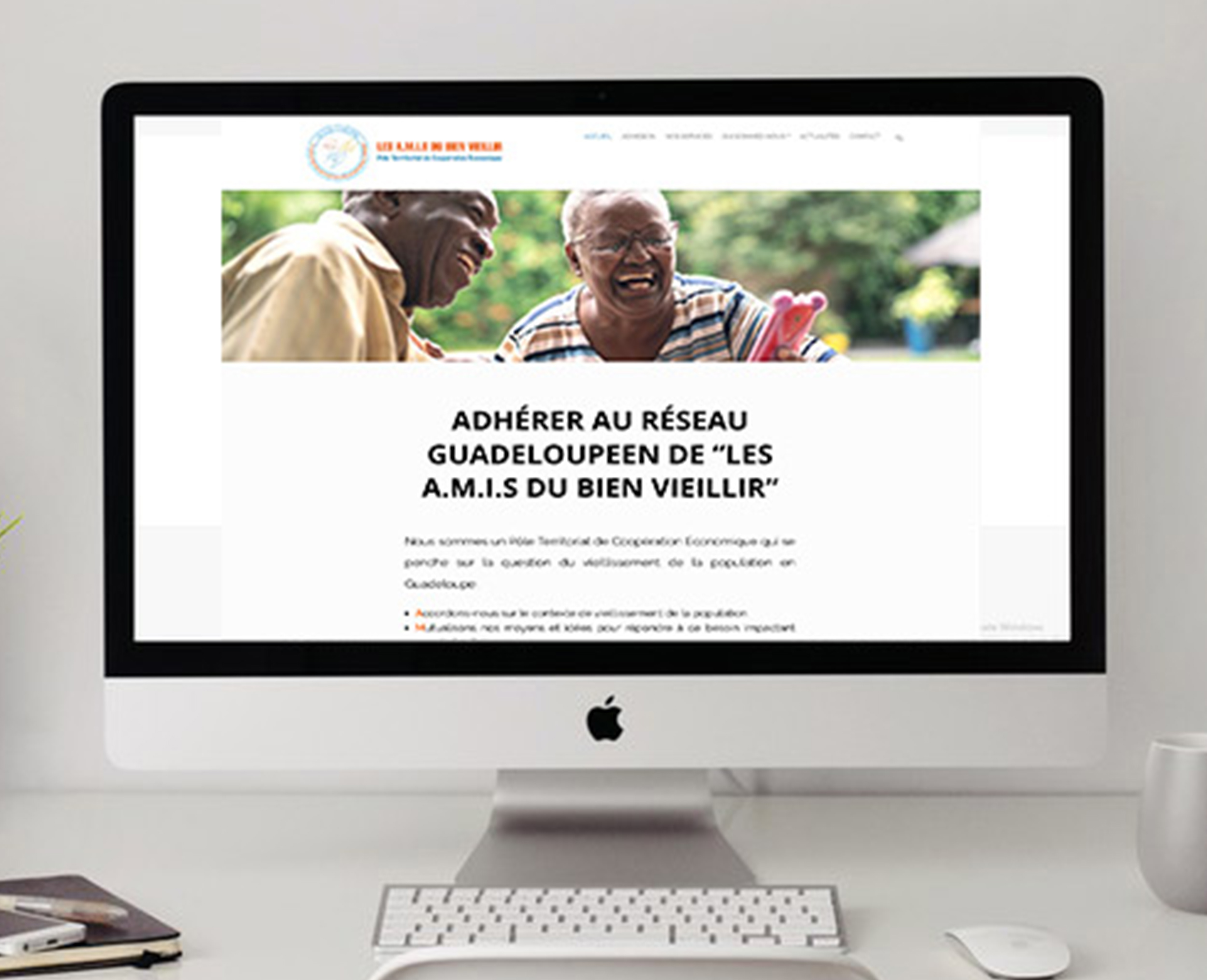 infographiste Guadeloupe site web