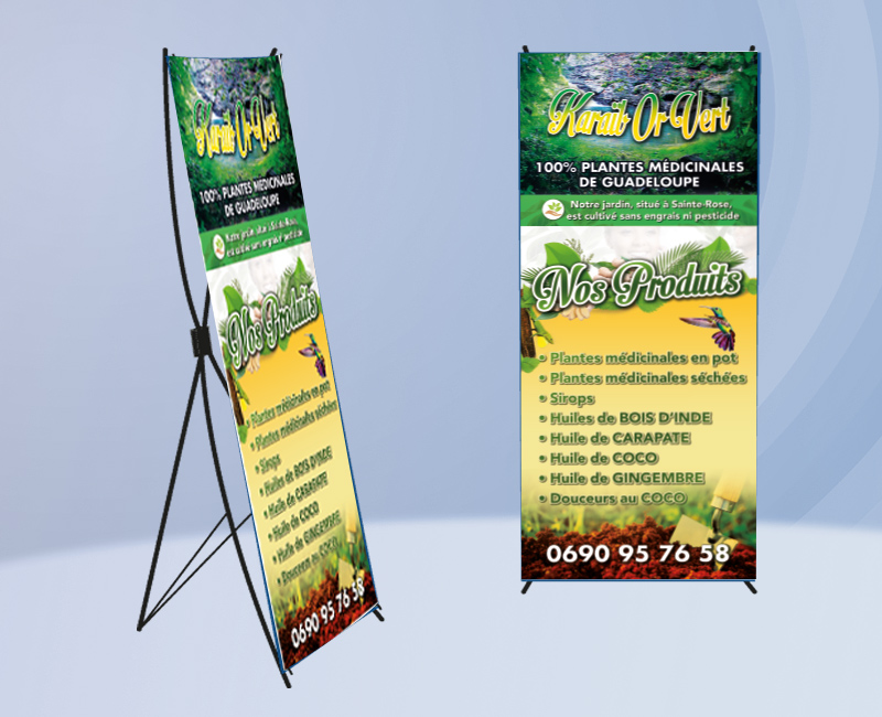 infographiste guadeloupe kake